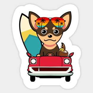 Cute small dog driving to the beach Sticker